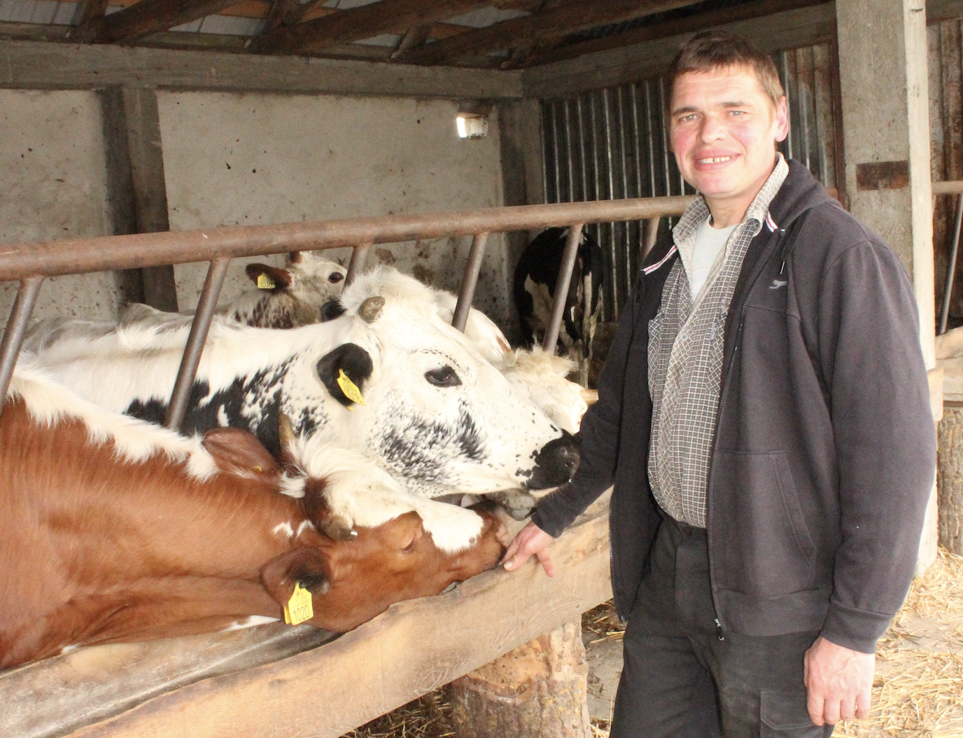 Wojciech Makarewicz, wspólnie z żoną Agnieszką, prowadzi w miejscowości Terebela, w powiecie bialskim, gospodarstwo specjalizujące się w hodowli bydła mlecznego. Hodowca uprawia około 70 ha, z czego tylko 15 stanowią grunty własne. Na 12 ha siana jest kukurydza, 7 ha zajmuje rzepak ozimy, na 7 ha uprawiany jest jęczmień jary. W tym roku po raz pierwszy wysiany został słonecznik na nasiona, 6 ha zajmuje lucerna w siewie czystym, a pozostała część to użytki zielone. Stado składa się z 37 krów mlecznych (z czego 16 to białogrzbiete) i 70 jałówek. Surowiec w ilości około 300 tys. litrów rocznie dostarczany jest do SM Mlekovita oddział Biała Podlaska. Stado objęte jest oceną użytkowości mlecznej.