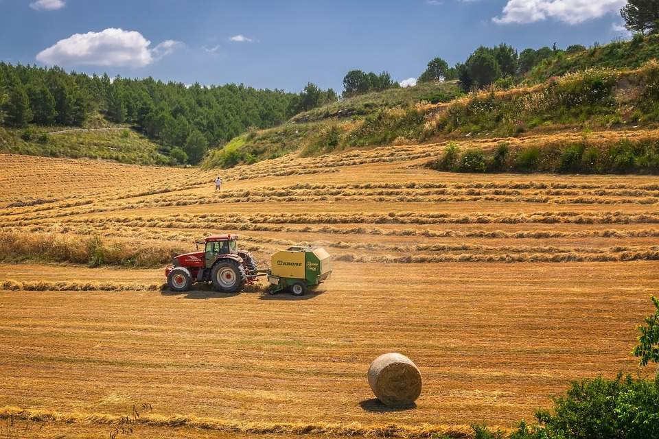 W pierwszym kwartale 2019 roku zostaną przeprowadzone lub rozpoczną się nabory wniosków m.in. na inwestycje na terenach OSN, na modernizację gospodarstw rolnych w obszarze a, b i c, premie dla młodego rolnika czy restrukturyzację małych gospodarstw rolnych. 