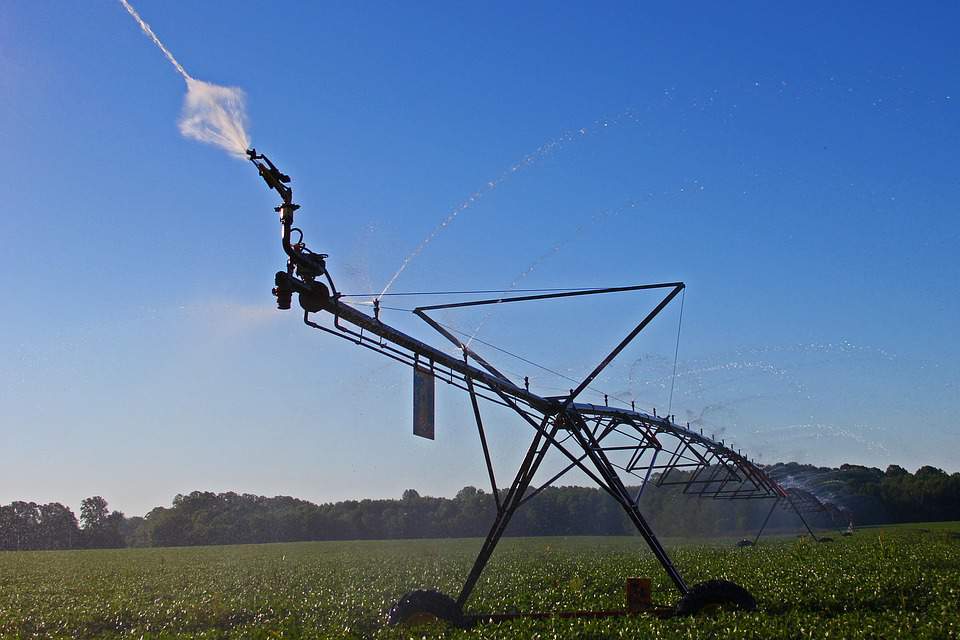 Dotacje na nawadnianie gospodarstw rolnych mogą zostać przeznaczone m.in. na zakup instalacji nawadniających