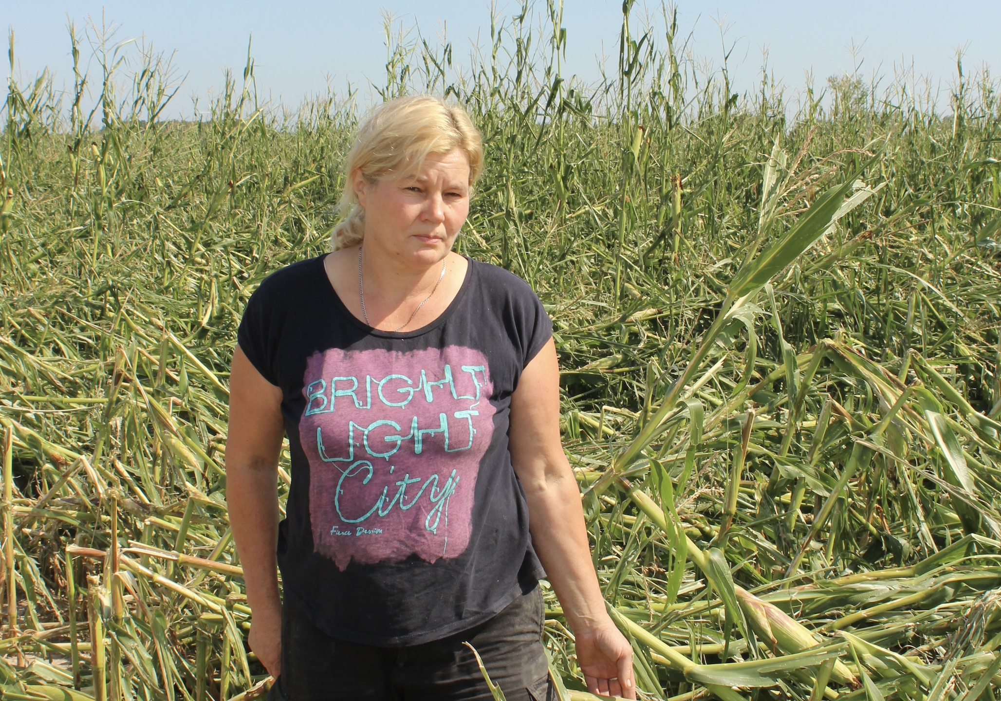 Jolanta Pawłowska z żalem pokazuje zniszczone pola