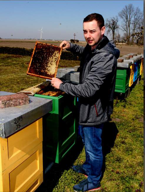 Maciej Smaruj zajmuje się nie tylko produkcją miodu. Przede wszystkim skupia się na hodowli matek pszczelich, które trafiają do innych pszczelarzy
