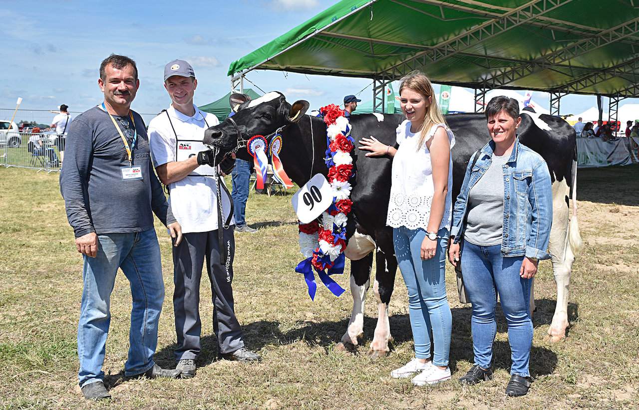 Rodzina Soliwodzkich ze swoją superczempionką wystawy wśród krów