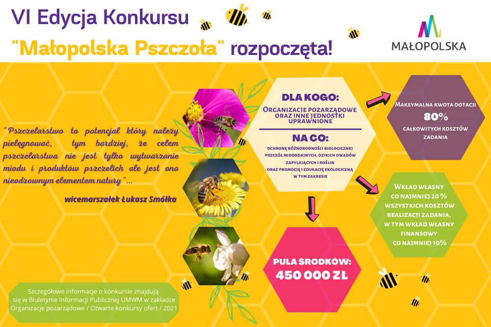 Rusza otwarty konkurs dla pszczelarzy „Małopolska pszczoła”