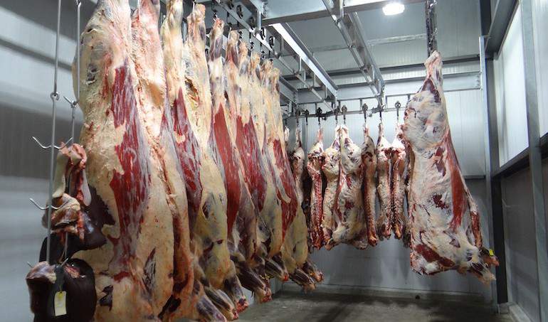 W stolicy Czech w nielegalnej ubojni zabezpieczono ok. 1200 kg mięsa