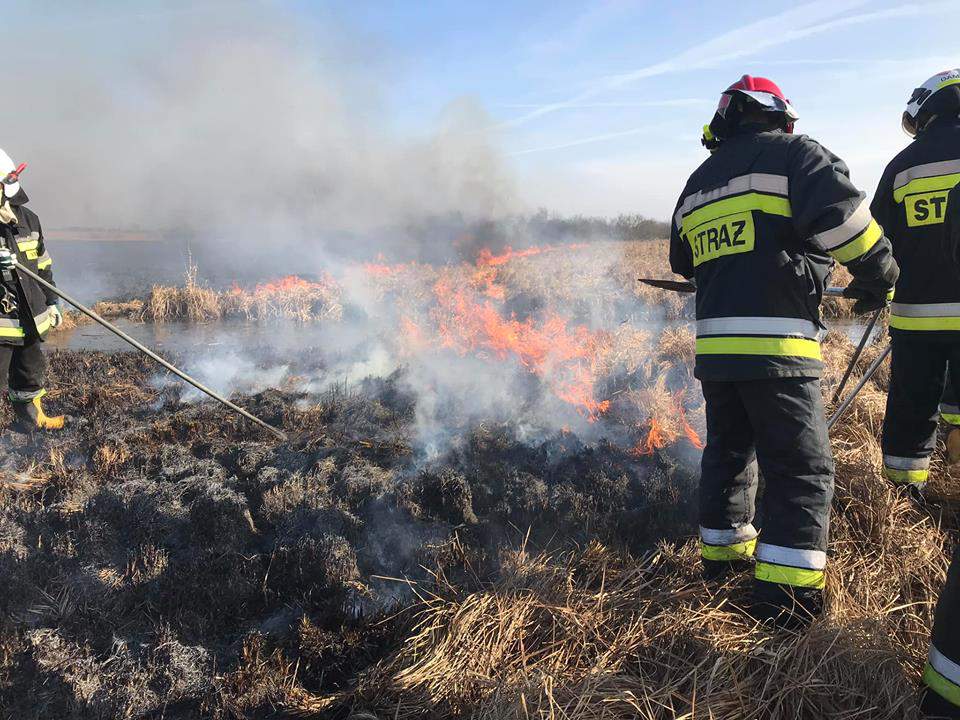 Za wypalanie traw rolnik może stracić dopłaty bezpośrednie oraz zostać ukarany grzywną w wysokości 5 tys. złotych Fot. OSP Szamocin