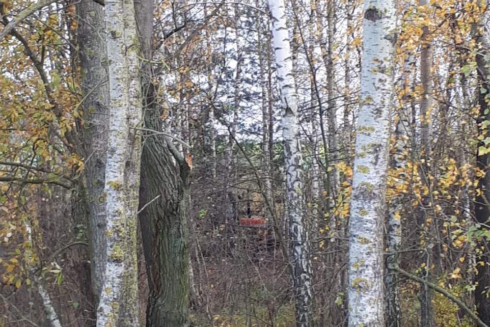 złodziej ukrył skradziony ciągnik w lesie